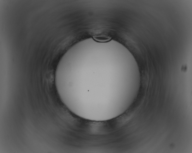 X0000092240085200710051247