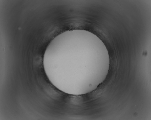 X0000092240087200710051247