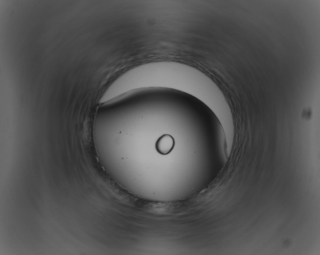 X0000092240088200710051247