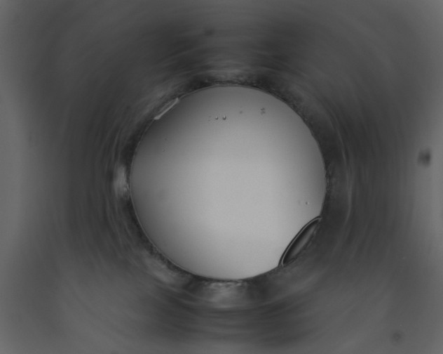 X0000092240089200710051247