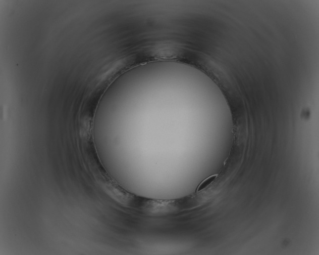 X0000092240093200710051247