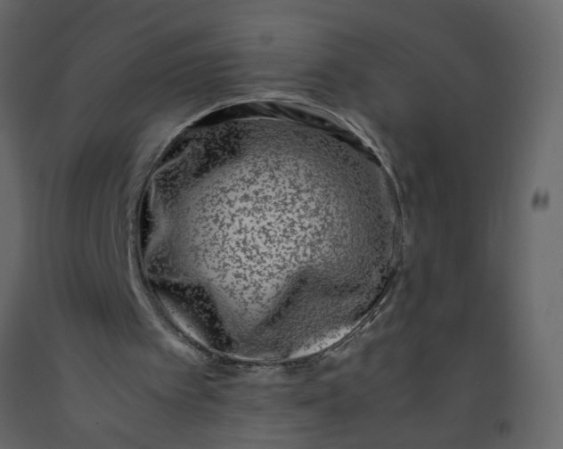 X0000092240097200710051247