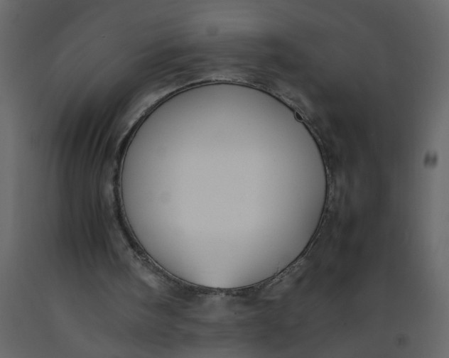 X0000092240098200710051247