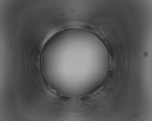 X0000092240099200710051247