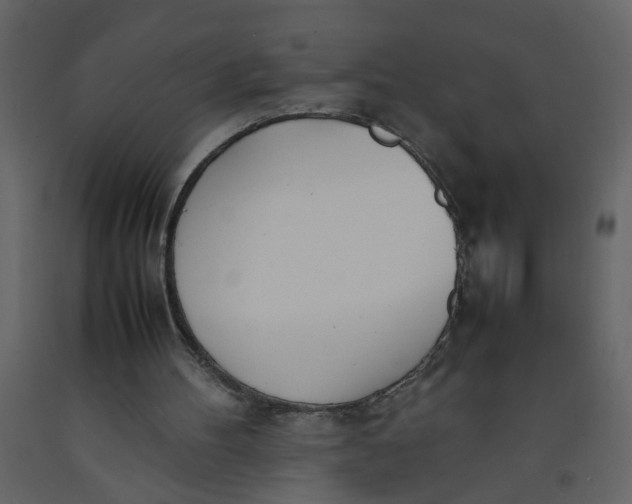 X0000092240100200710051247