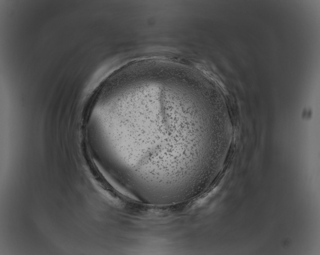 X0000092240101200710051246
