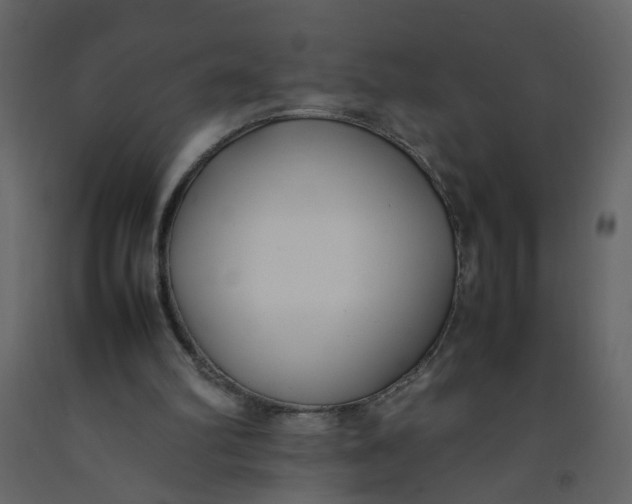 X0000092240102200710051246