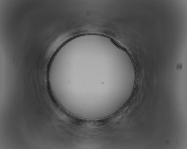 X0000092240103200710051246