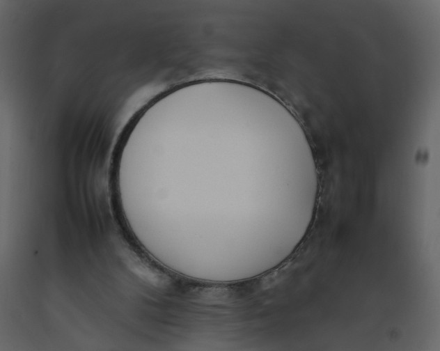 X0000092240104200710051246