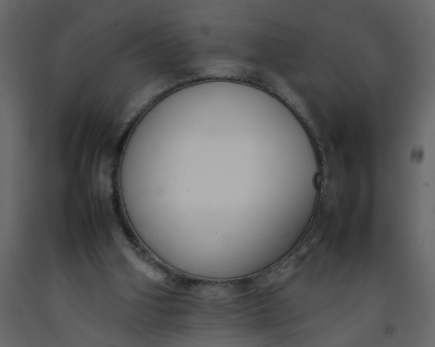 X0000092240106200710051246