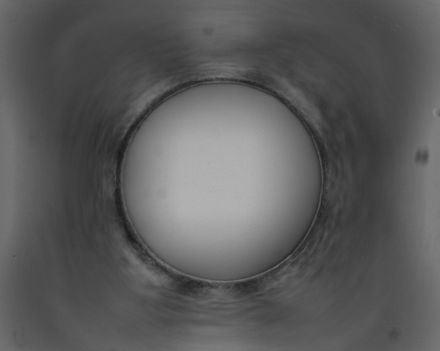 X0000092240107200710051246