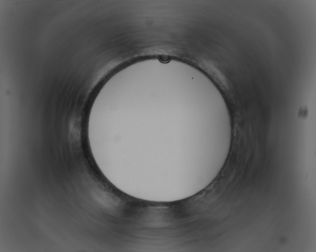 X0000092240108200710051246