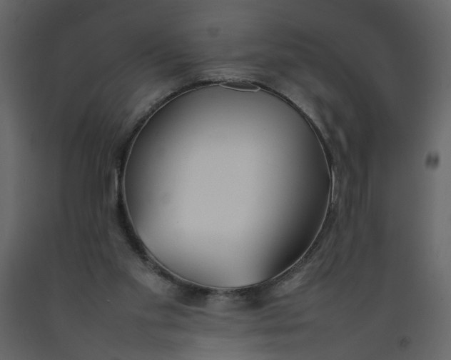 X0000092240109200710051246