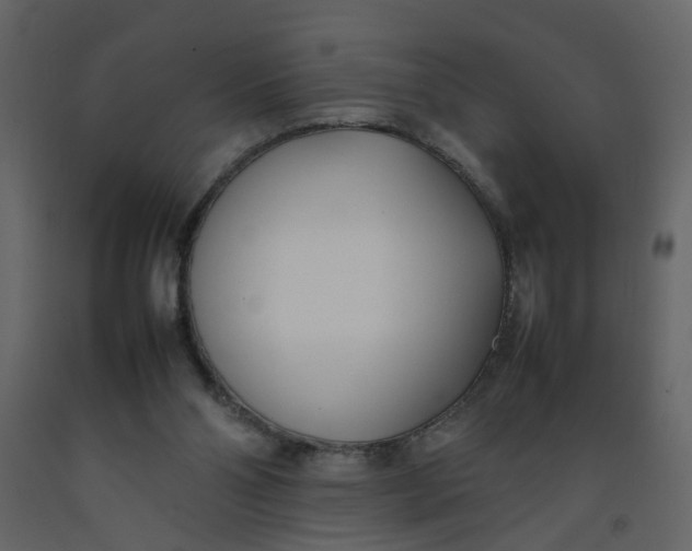 X0000092240110200710051246