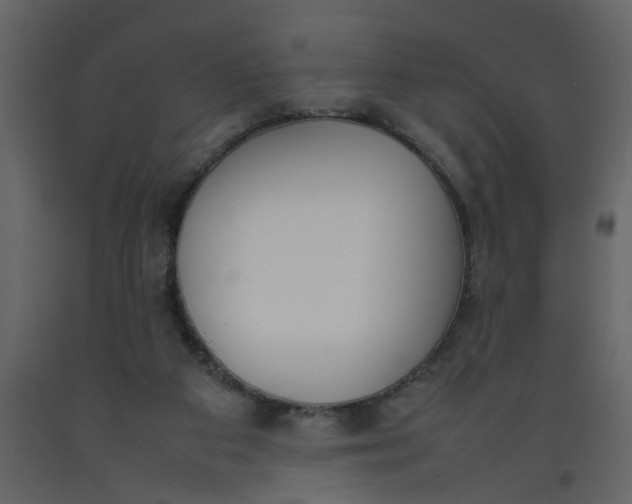 X0000092240113200710051246