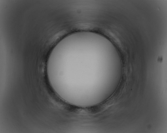 X0000092240115200710051246