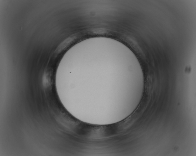 X0000092240116200710051246