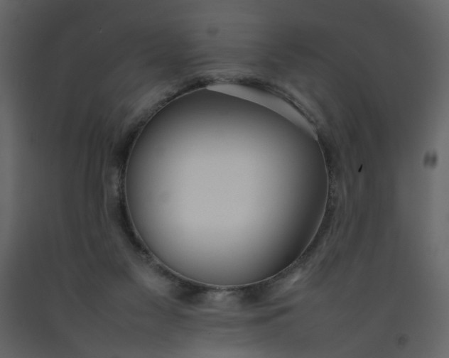 X0000092240117200710051246
