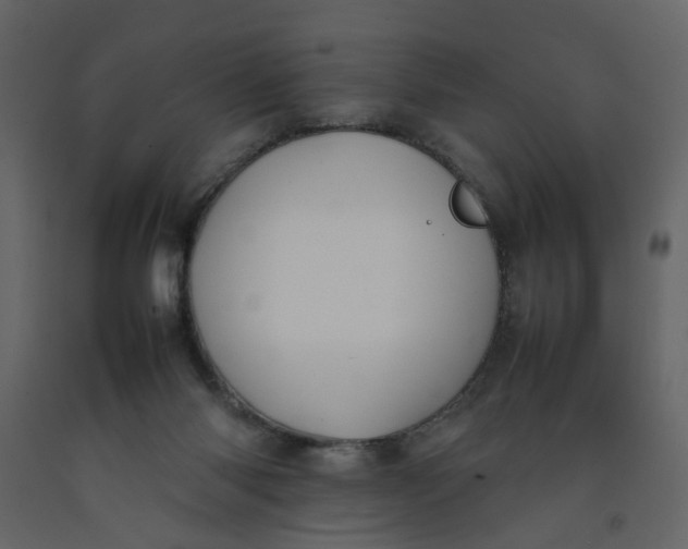 X0000092240118200710051246