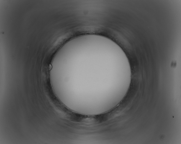 X0000092240119200710051246
