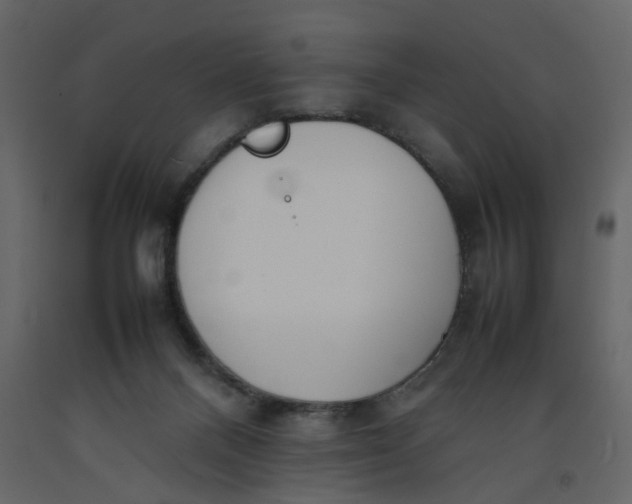 X0000092240120200710051246