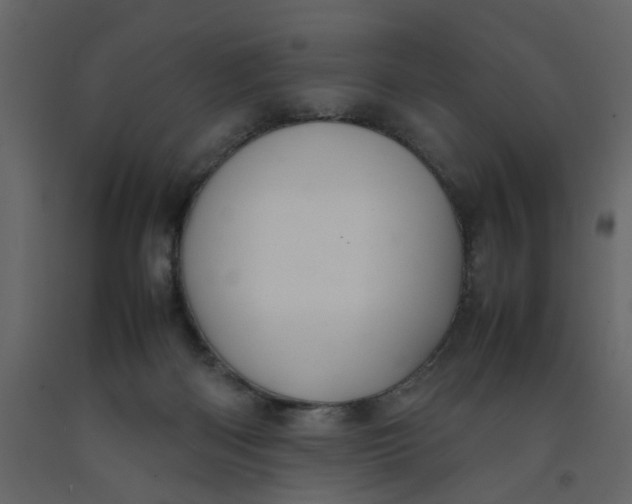 X0000092240122200710051246
