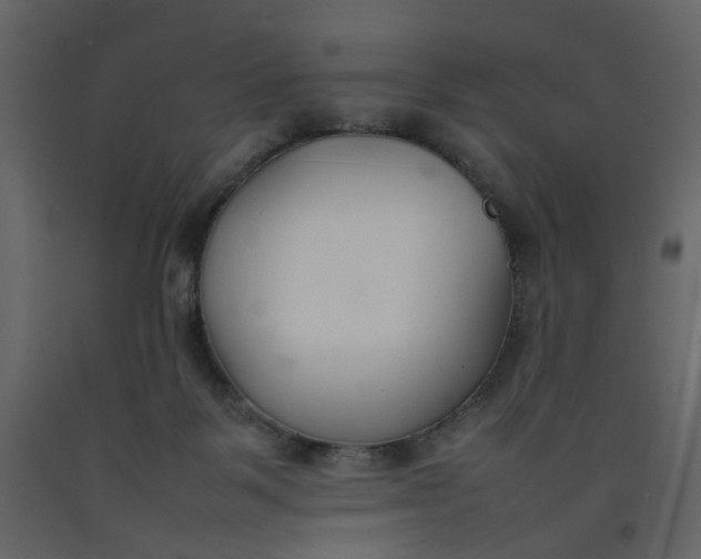X0000092240123200710051246