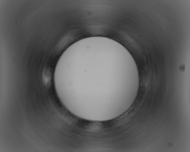 X0000092240124200710051246