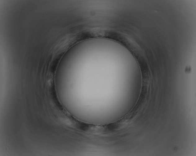X0000092240125200710051246