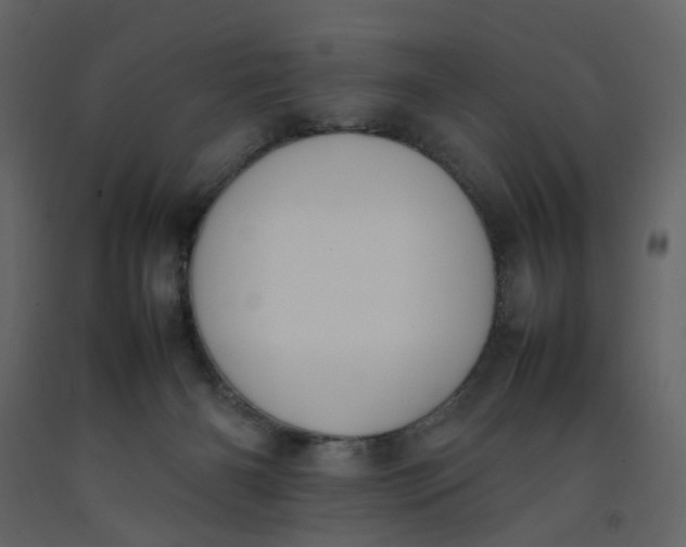 X0000092240126200710051246