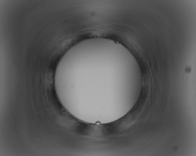 X0000092240127200710051246