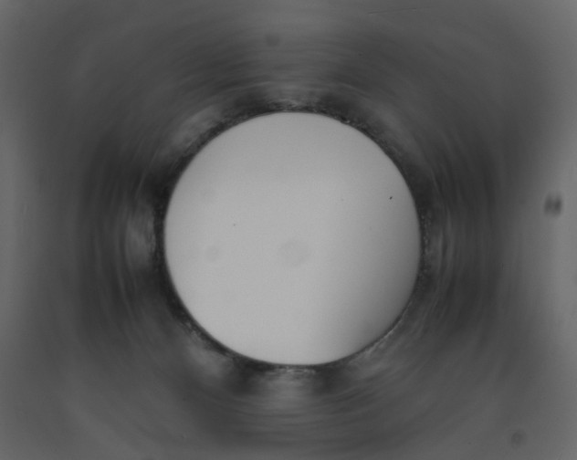 X0000092240128200710051246