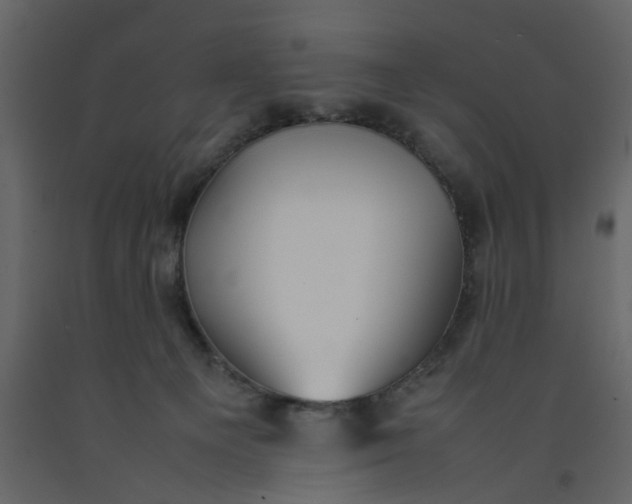 X0000092240129200710051246