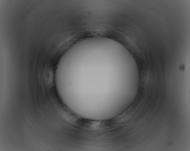 X0000092240130200710051246