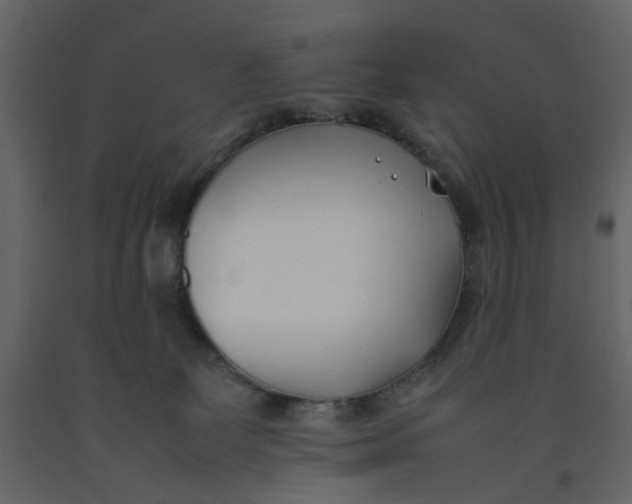 X0000092240131200710051246