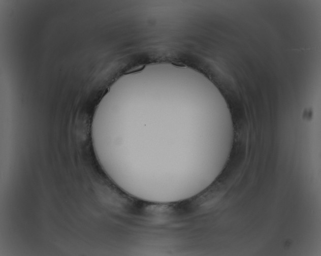X0000092240133200710051246