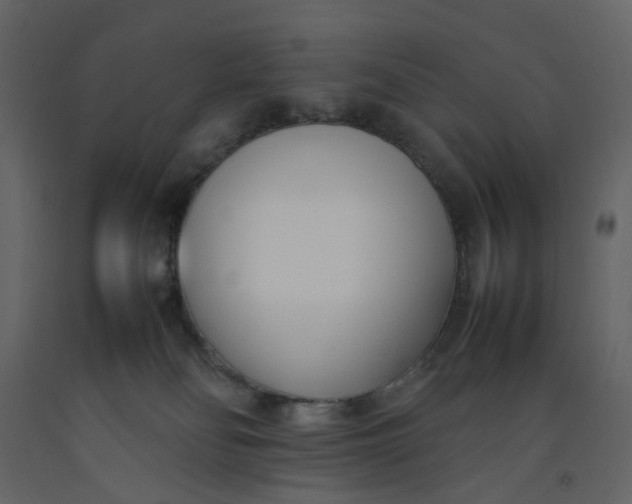 X0000092240134200710051246
