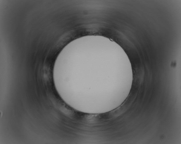 X0000092240136200710051246