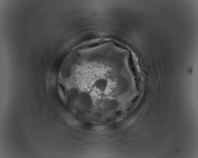 X0000092240139200710051246