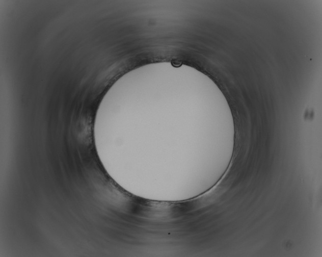 X0000092240144200710051246
