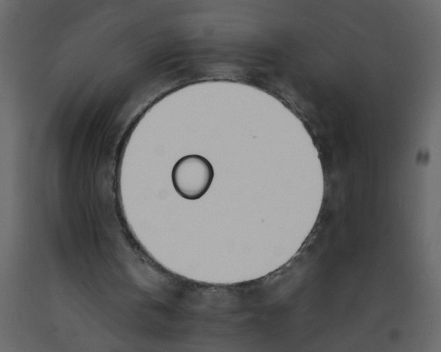 X0000092240146200710051245