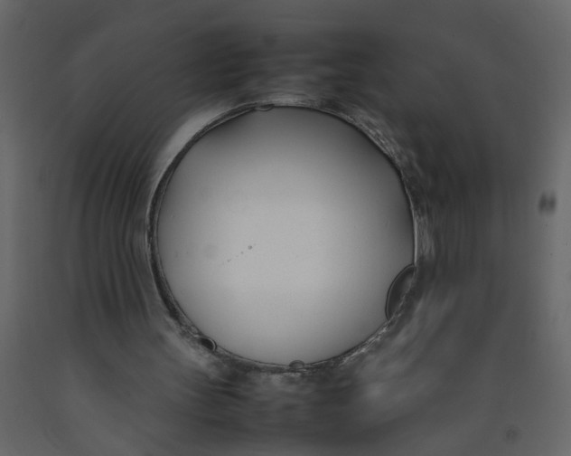X0000092240147200710051245