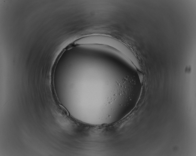 X0000092240148200710051245
