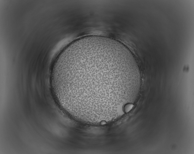 X0000092240149200710051245