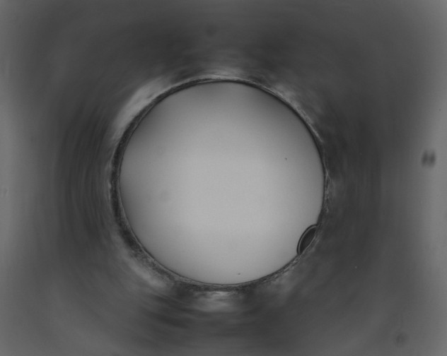 X0000092240151200710051245