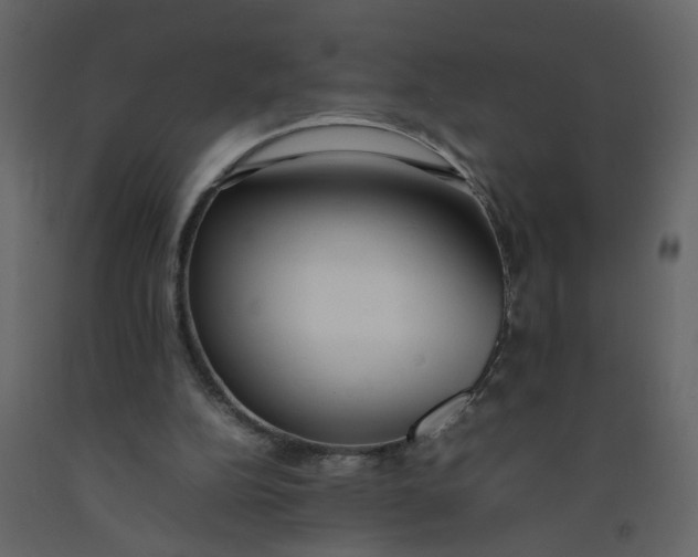 X0000092240152200710051245
