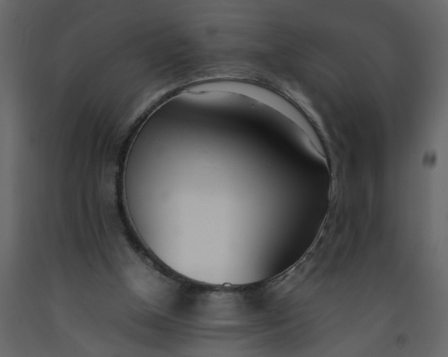 X0000092240154200710051245
