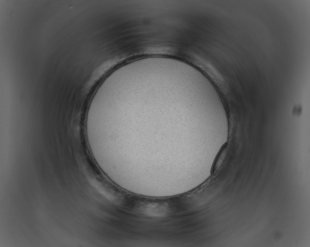 X0000092240155200710051245