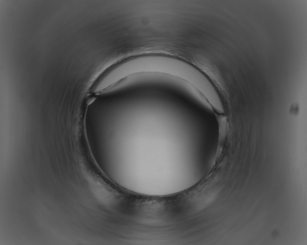 X0000092240156200710051245