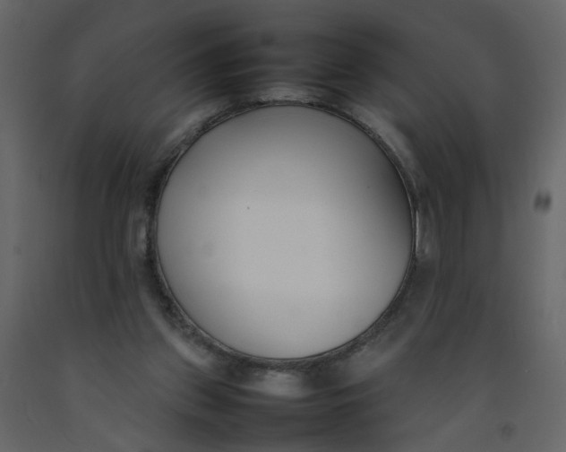 X0000092240157200710051246